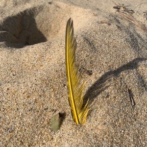 Meet your Posher, Rita